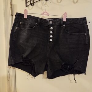 Torrid 5 Inch Classic Denim High Rise Shorts 
